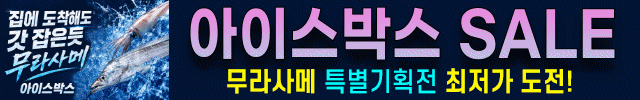 소렉스 20260626